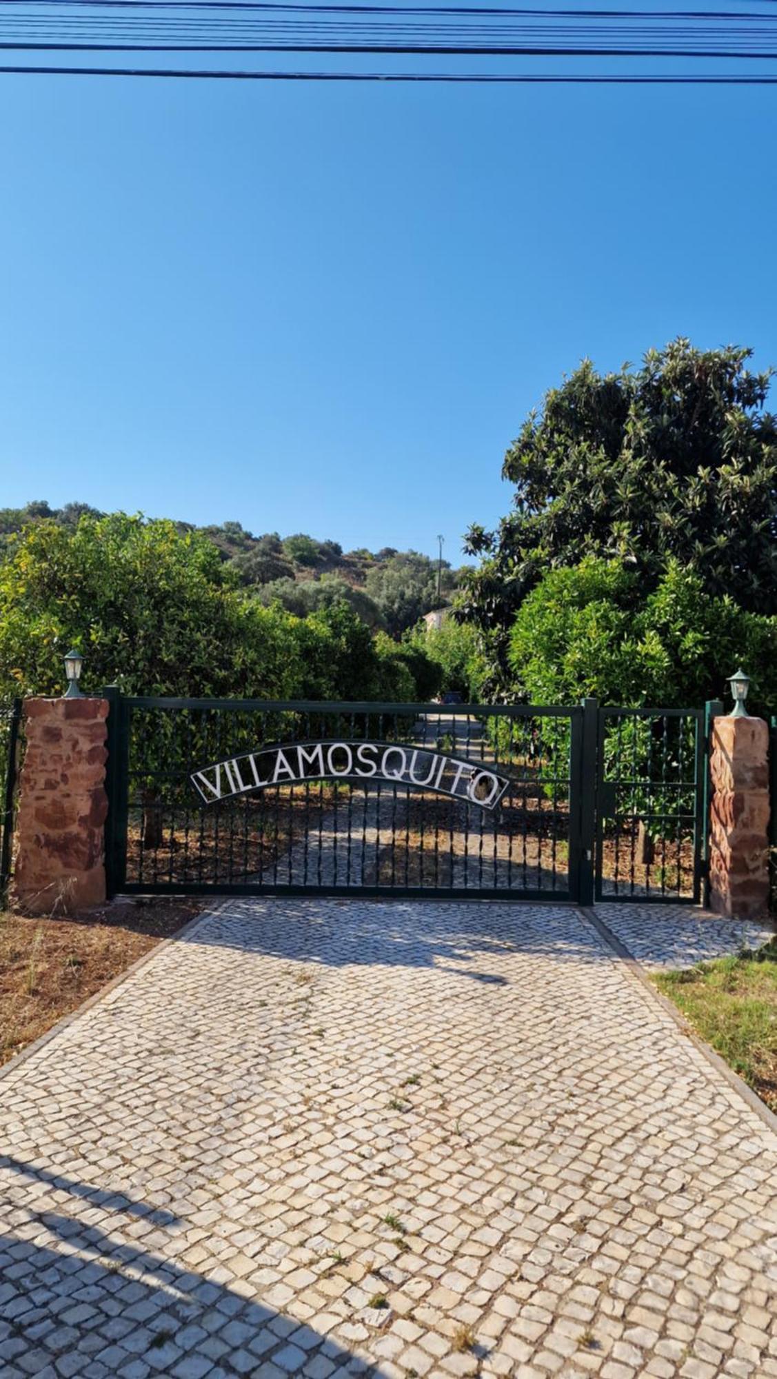 Chalet Villa Mosquito Silves Ngoại thất bức ảnh
