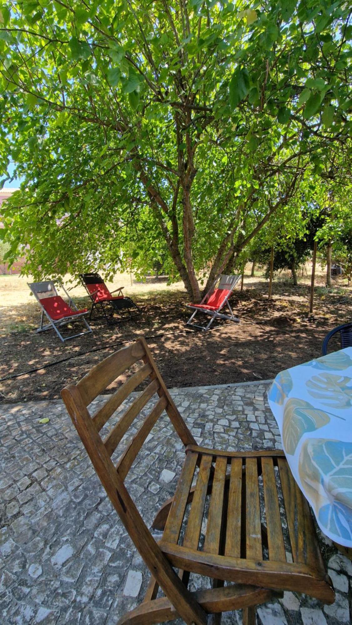Chalet Villa Mosquito Silves Ngoại thất bức ảnh