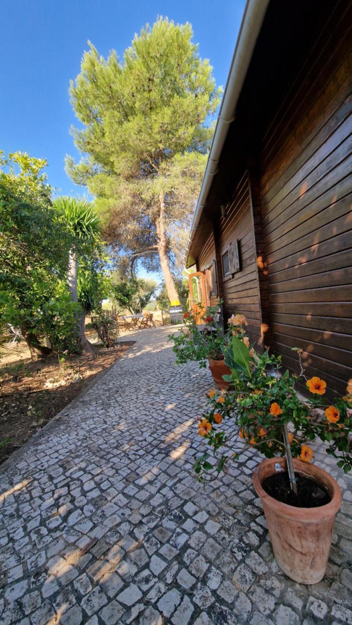 Chalet Villa Mosquito Silves Ngoại thất bức ảnh