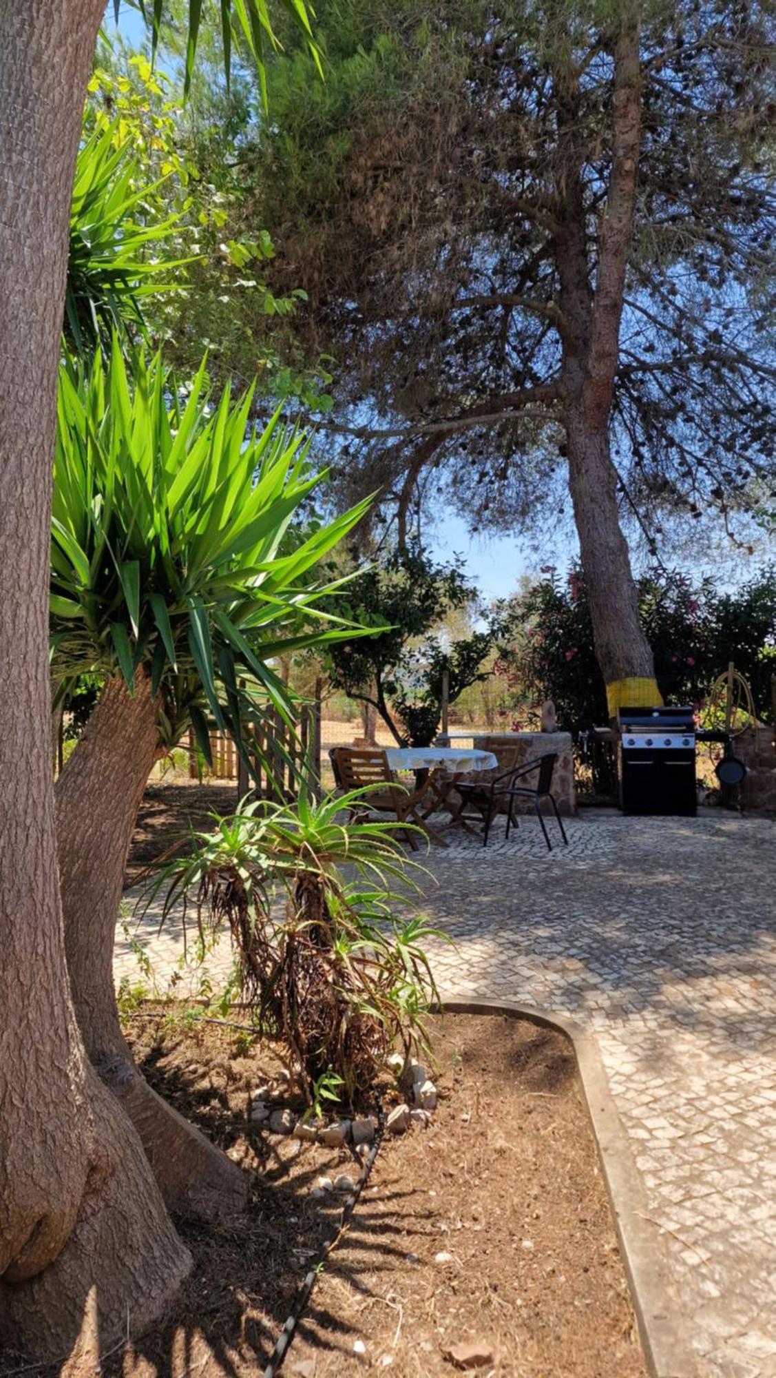 Chalet Villa Mosquito Silves Ngoại thất bức ảnh