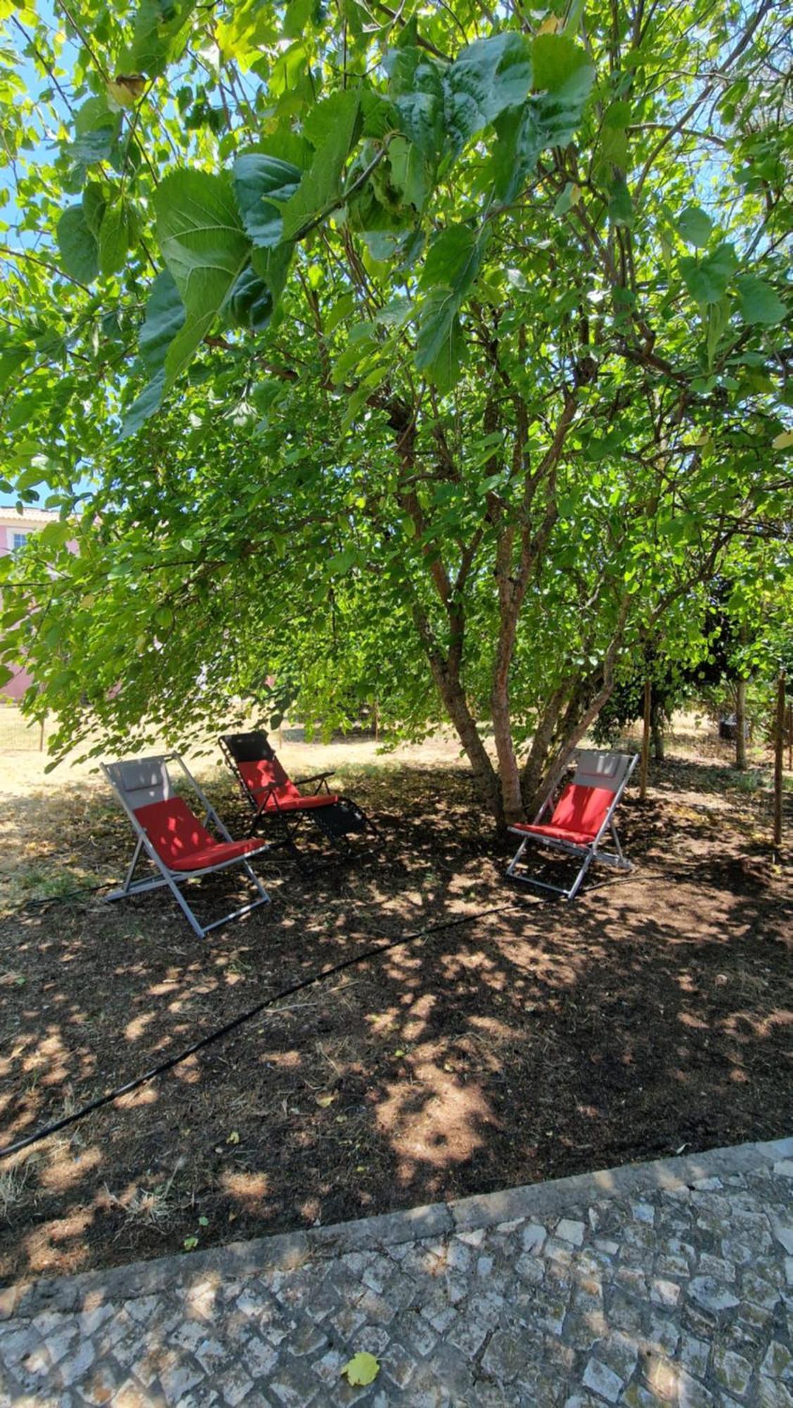 Chalet Villa Mosquito Silves Ngoại thất bức ảnh