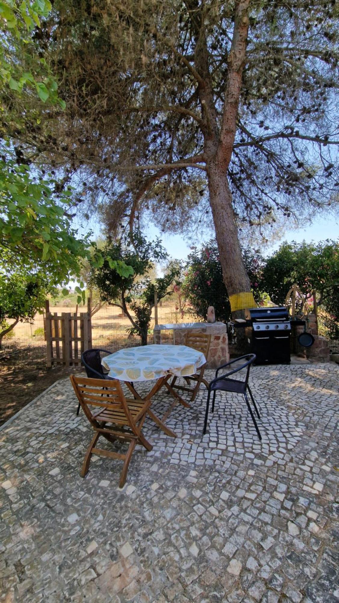 Chalet Villa Mosquito Silves Ngoại thất bức ảnh