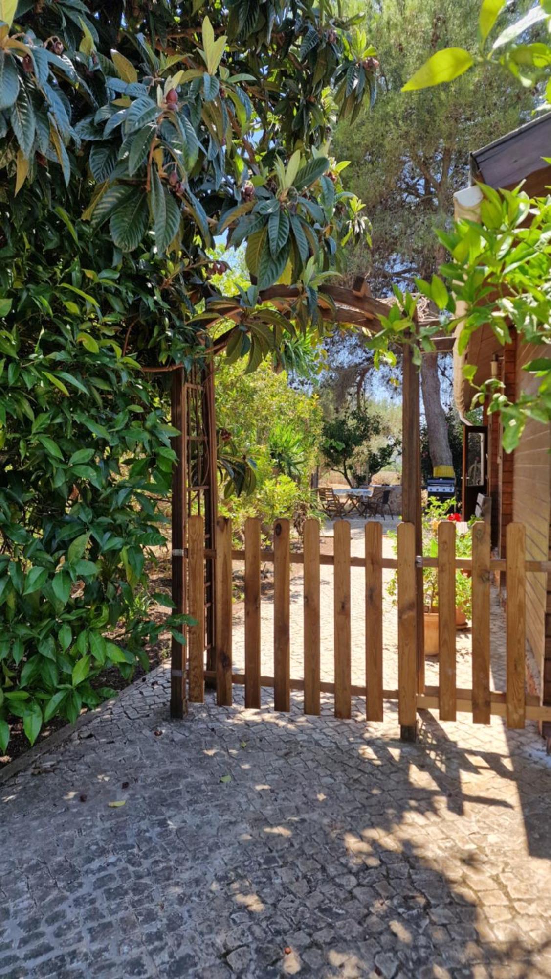 Chalet Villa Mosquito Silves Ngoại thất bức ảnh