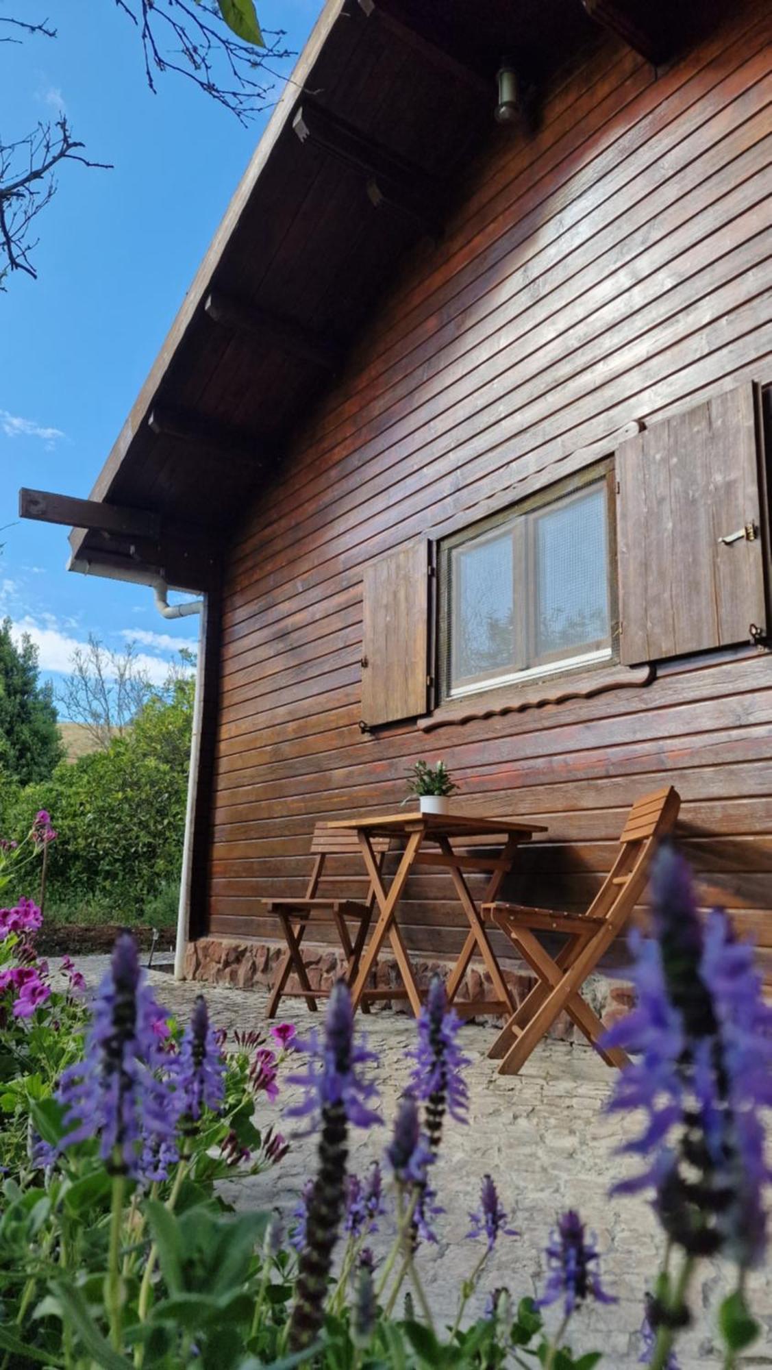 Chalet Villa Mosquito Silves Ngoại thất bức ảnh